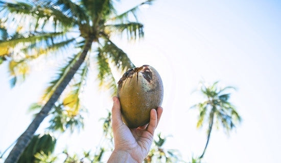 Coconut Oil: Friend or Foe?-Philosophie