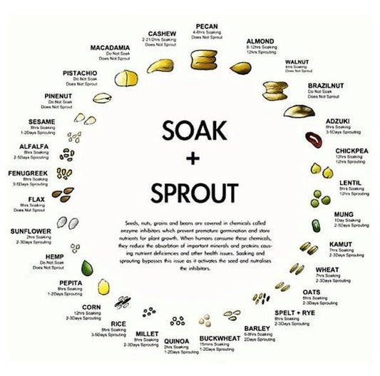 Soaking + Sprouting Nuts, Seeds + Grains {easy chart!}