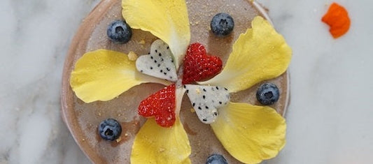 Cacao Magic Cheesecake Recipe-Philosophie