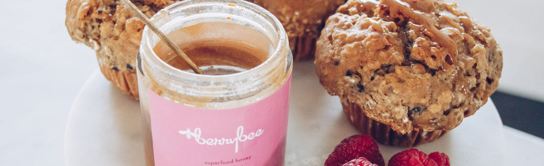 Gluten-Free Blueberry Muffins-Philosophie