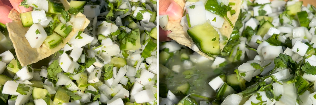 Vegan Coconut Ceviche-Philosophie