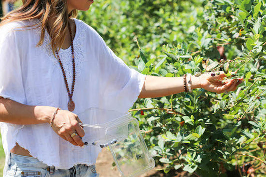 Blueberry Picking + The Joy of Gathering Food