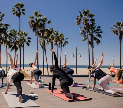 The Embodied Transformation 1-Day Retreat with Sophie Jaffe